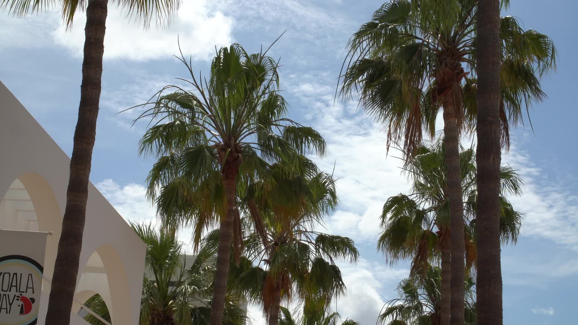 Sunny Day in Cala d'Or Streets with Palm Trees