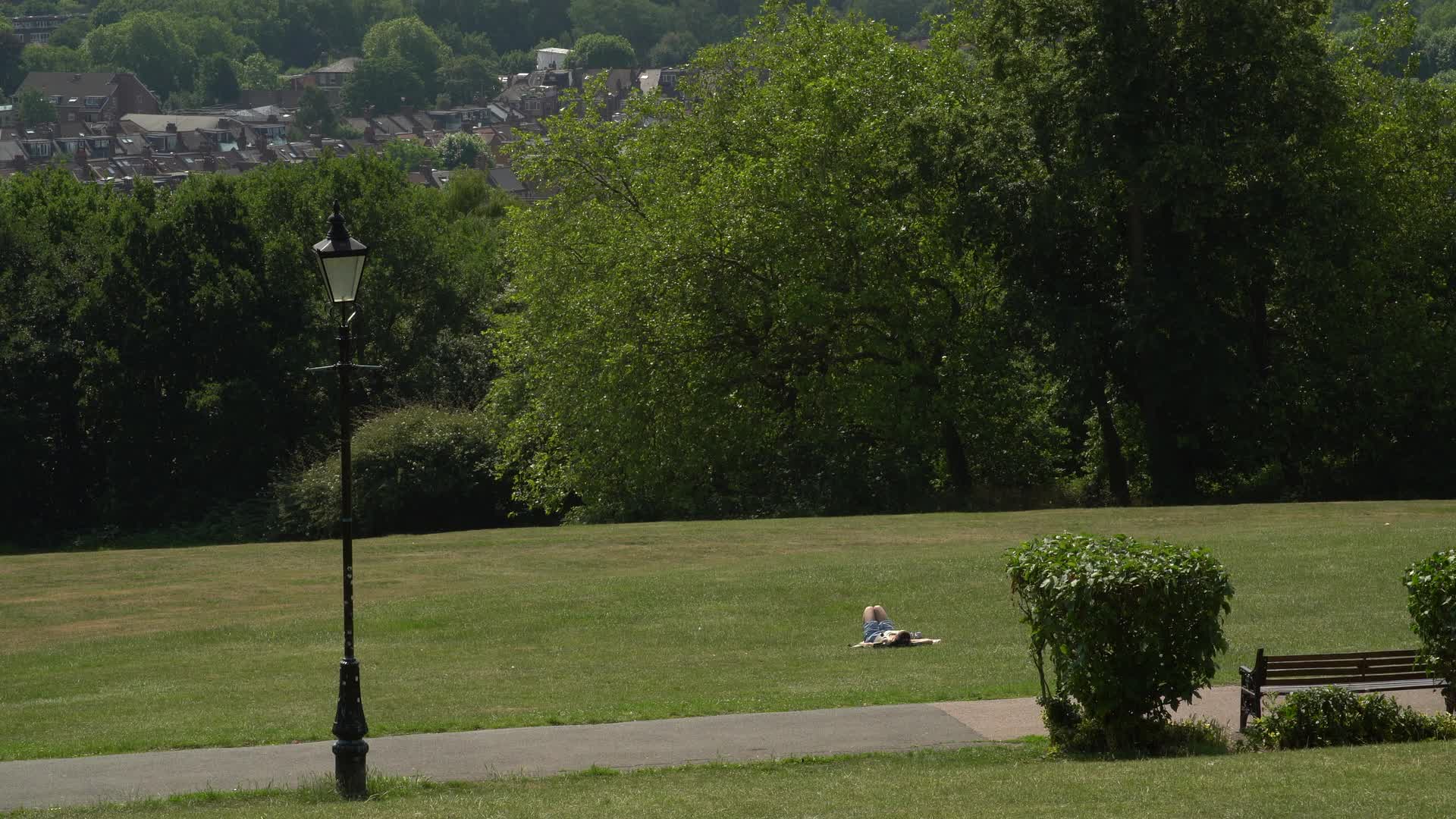 Scenic Sunny Day in a London Park