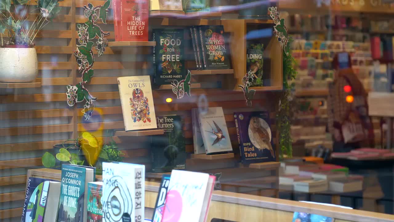 Bookstore Window Display with Assorted Titles