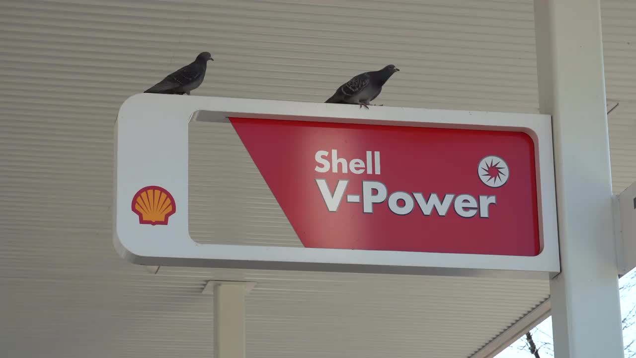 Pigeons Resting on Shell V-Power Sign