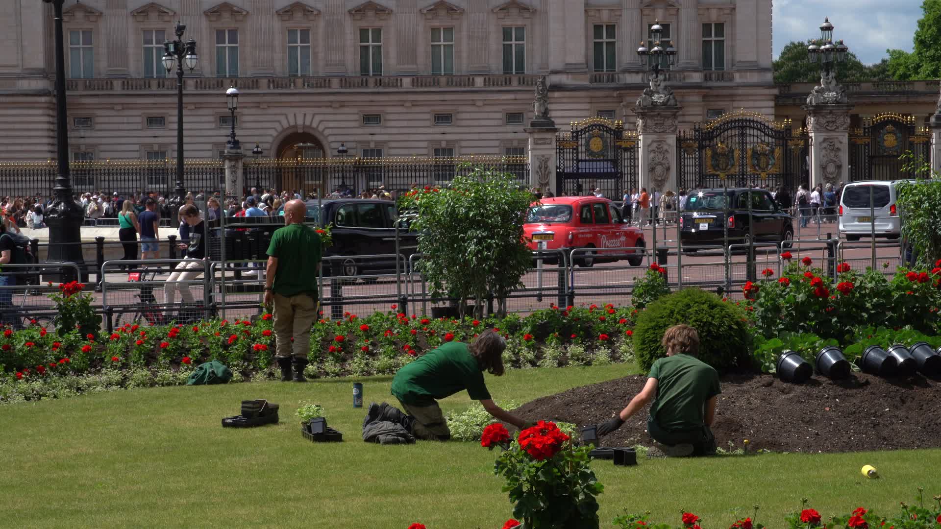 Gardeners at Work in Front of Buckingham Palace, London