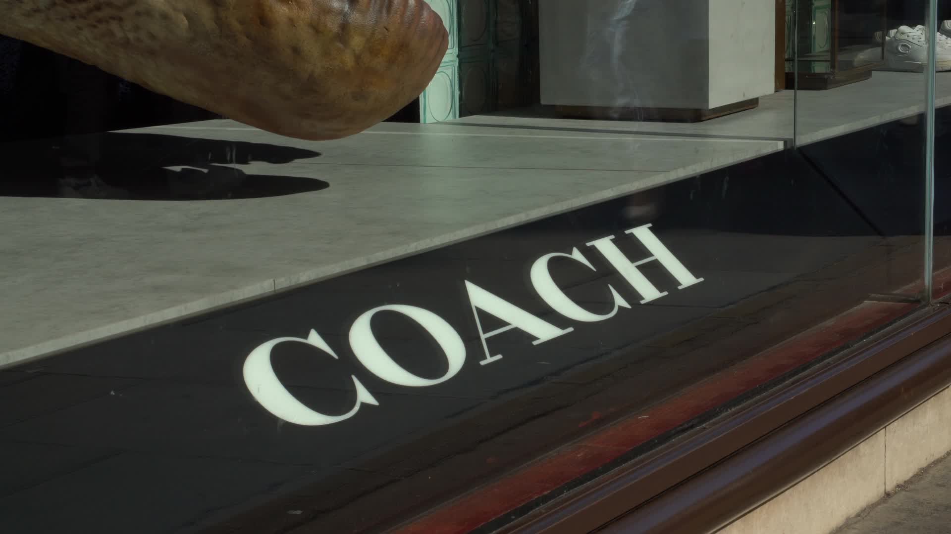 Luxury Retail Window Display with Coach Branding