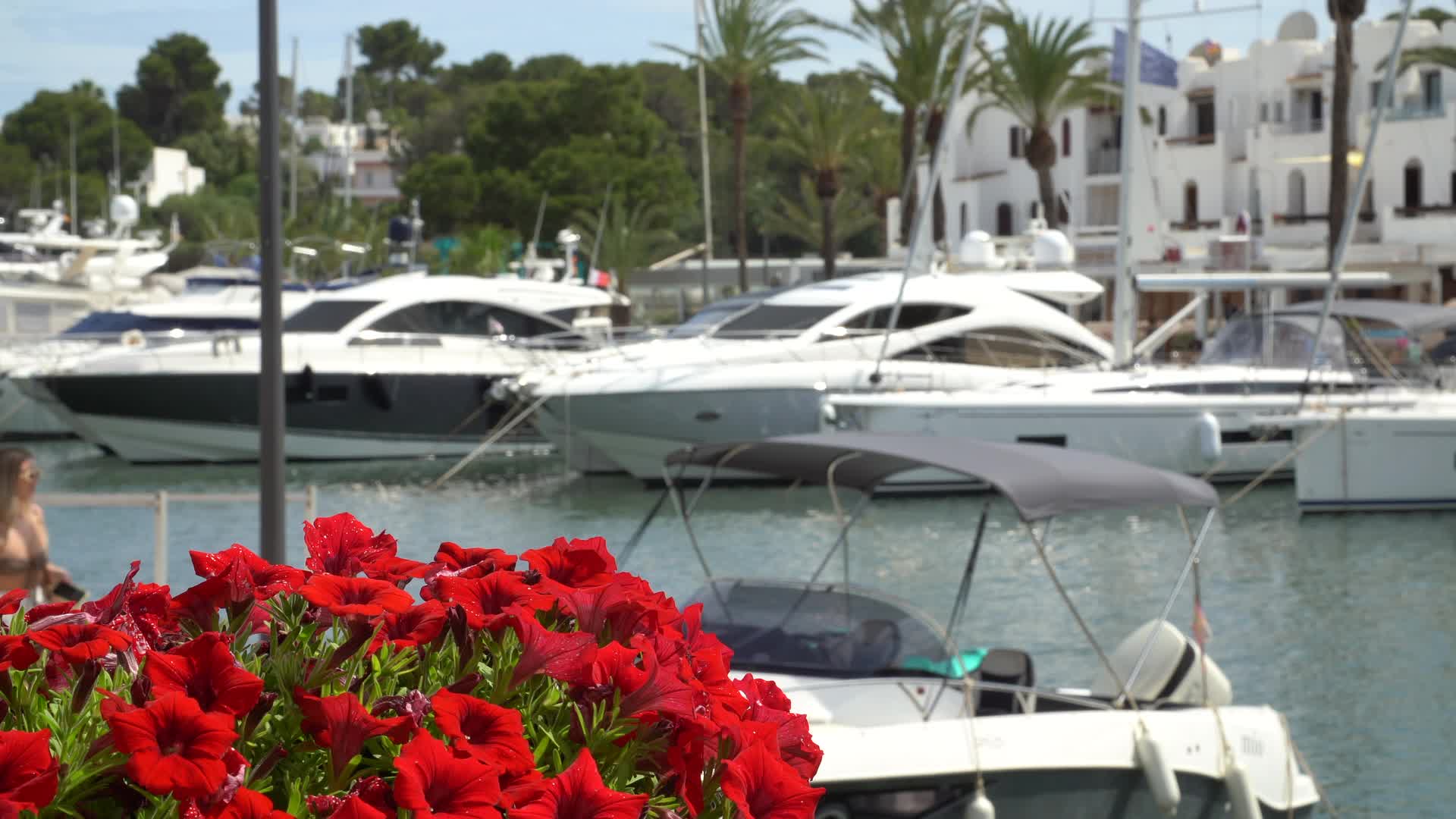 Luxury Yachts Moored in a Marina in Cala d'Or, Mallorca, Spain