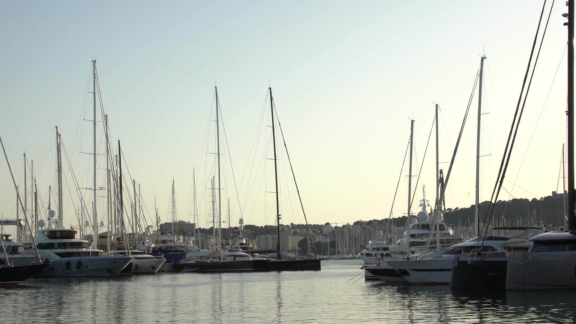 Luxury Yachts at Palma Marina
