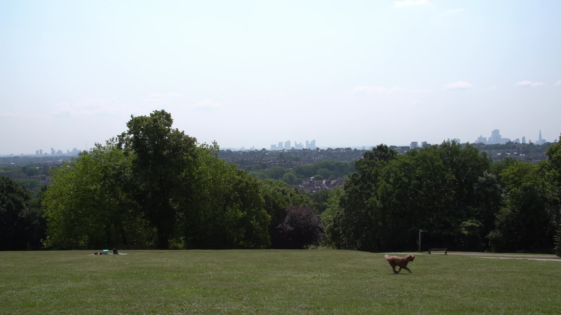 Sunny Summer Views of London Skyline from a Park