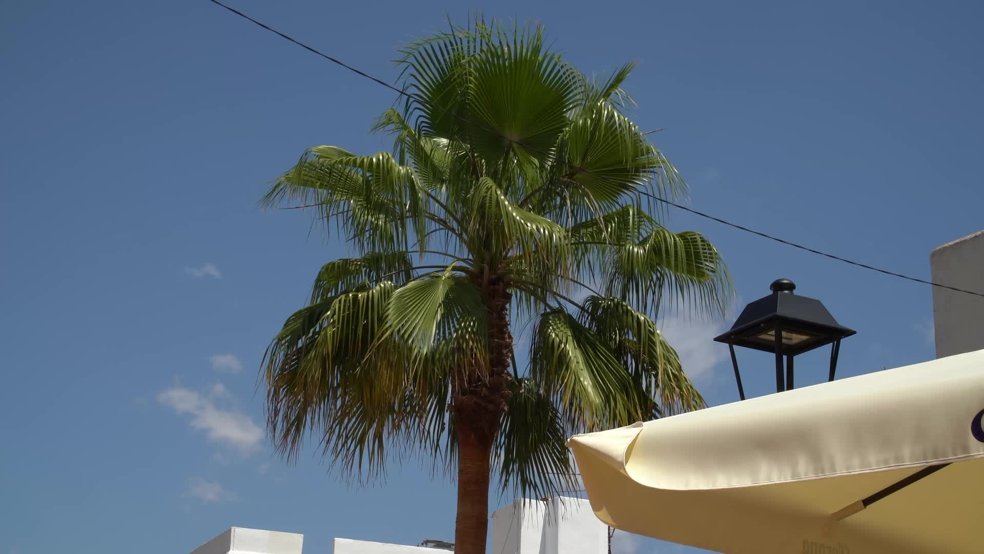 Sunny Day at Cala d'Or Streets with Palm Trees and Architecture