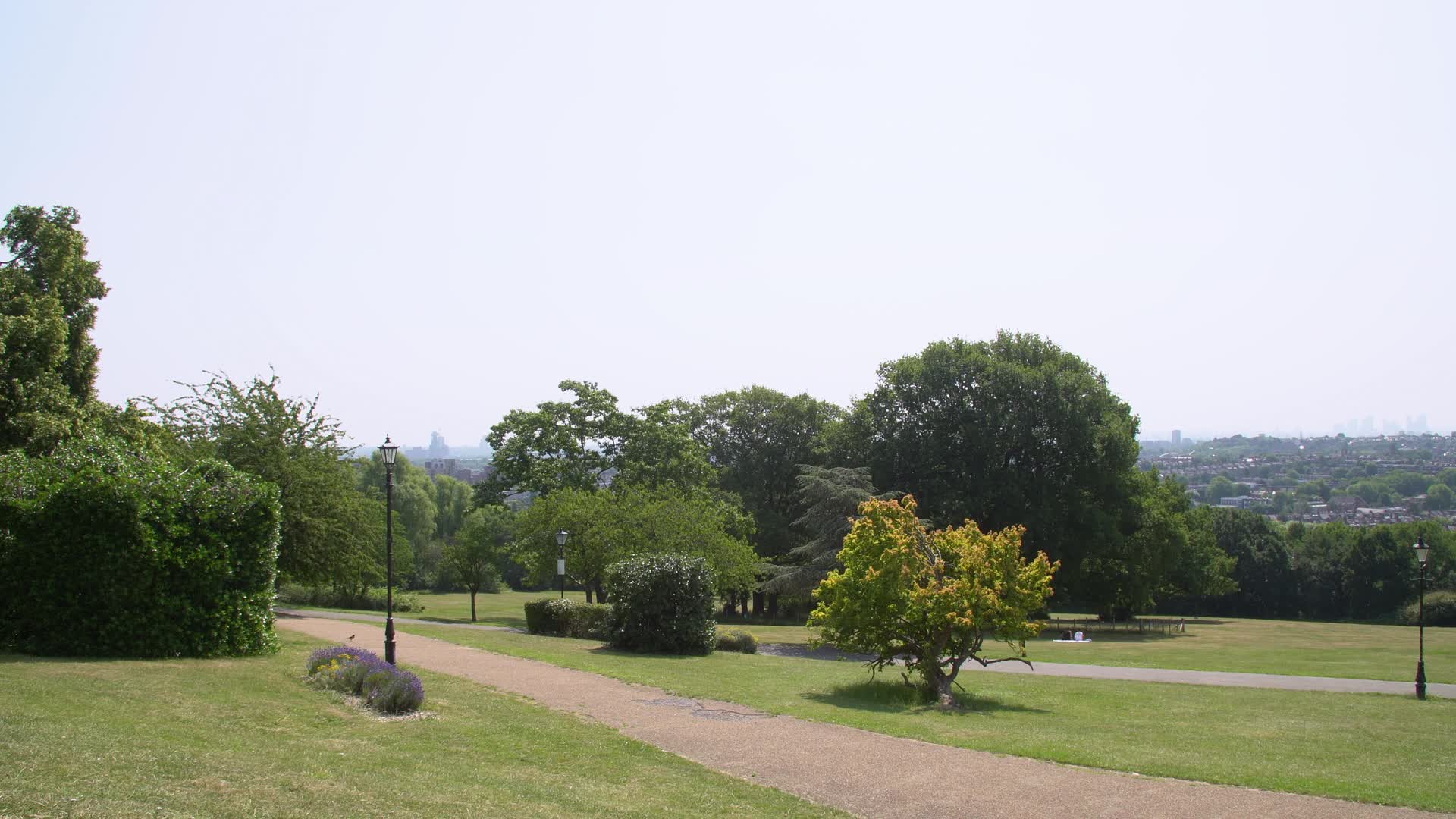 Sunny Urban Park Panorama