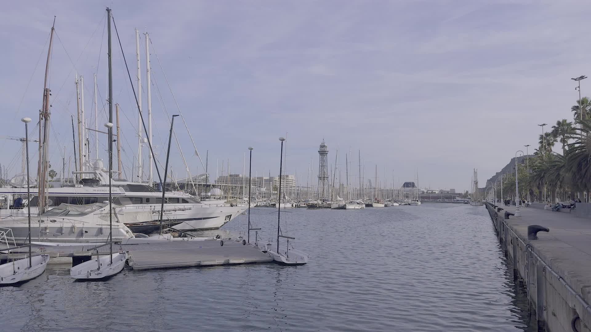 Luxury Yachts in Barcelona Marina under Clear Sky