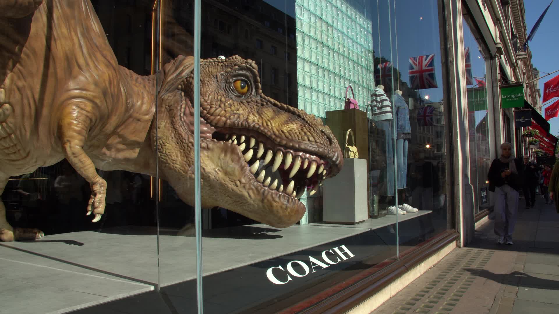 Dinosaur Display in Urban Storefront