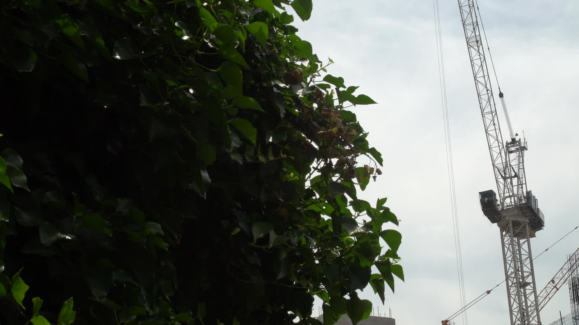 Urban Construction Site with Cranes in London, UK